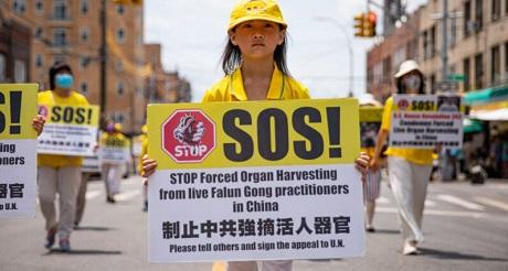 Personalidades hispanas condenan persecución a Falun Dafa