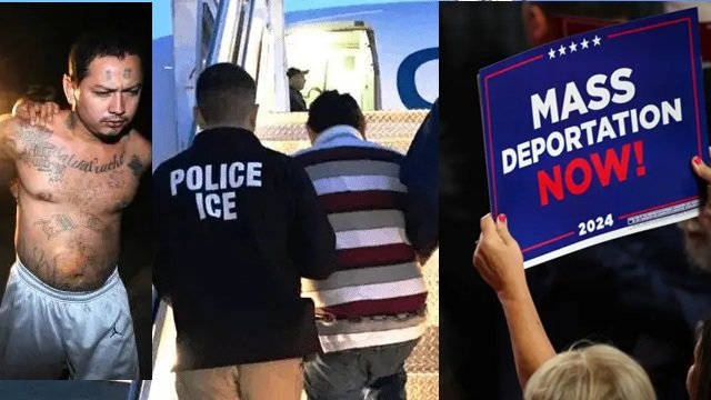 La deportación masiva es la prioridad ante la invasion de ilegales a usa