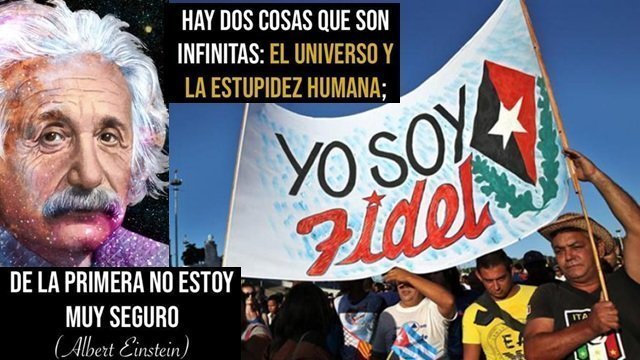 la estupidez humana una reflexion sociologica