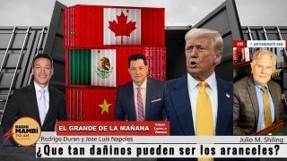 ¿Que tan dañinos pueden ser los aranceles?