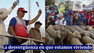 La desvergüenza en que estamos viviendo: carneros y traidores
