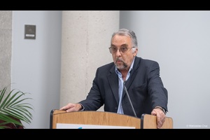 14 Gomez Llorens ponencia