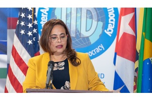 Iliana Lavastida Ponencia